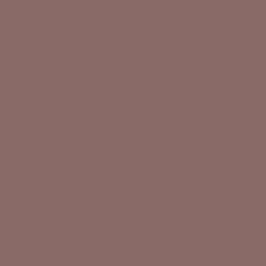 Brun Fuji